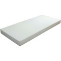 Proactive Medical Products Protekt„¢ 100 Pressure Redistribution Foam Mattress with 3" Raised Rails - 84" - 81016 81016